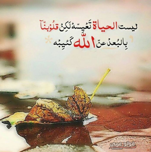 أجمل صور واتس أب