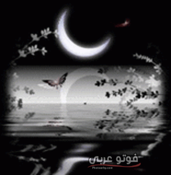 صور متحركة وخلفيات روعة Hd 2020 فوتو عربي
