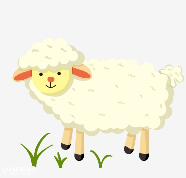 سكرابز خروف العيد كرتون Png