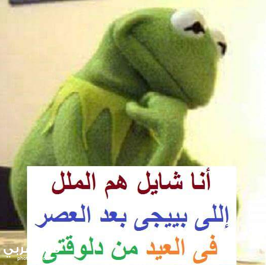 احدث صور الضفدع كيرميت جديدة 2020 1441 فوتو عربي
