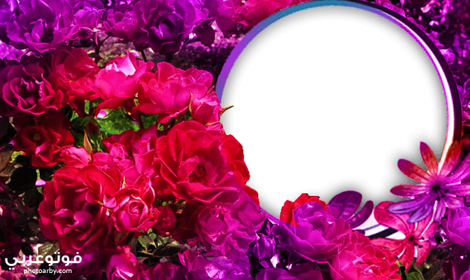 فوتو عربي صور تصميمات براويز واطارات حديثة للصور 2020