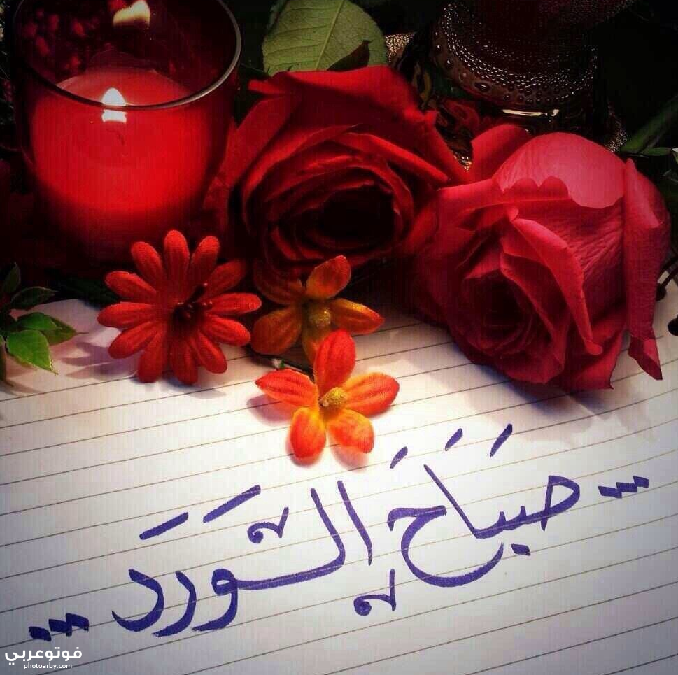 صور وبطاقات صباح الخير والفل السعادة حديثة فوتو عربي