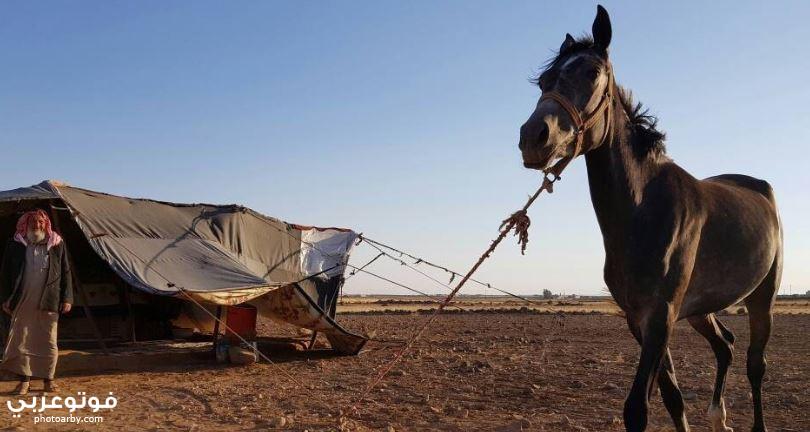 فوتو عربي موضوع تعبير عن الاصالة العربية العريقة في صنع الانسان