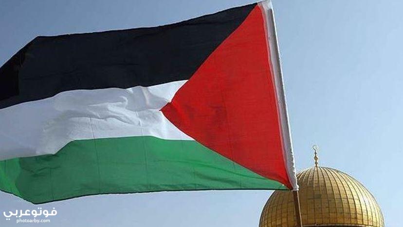 فوتو عربي بحث عن القضية الفلسطينية كاملة بالتفاصيل