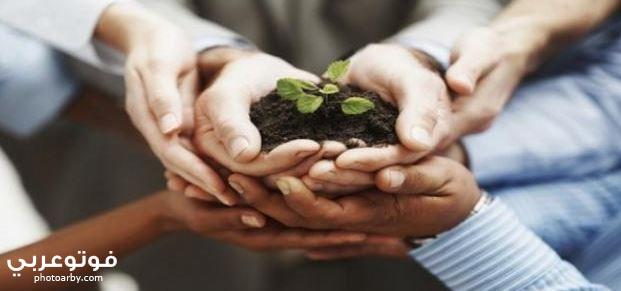 فوتو عربي موضوع انشاء عن الايثار والكرم بالعناصر لتعليم الاطفال