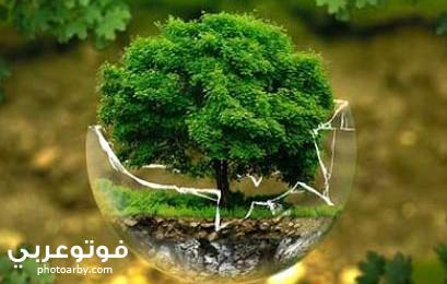 Lovepik صورة Jpg 500402876 Id خلاق بحث صور التكنولوجيا وحماية البيئة