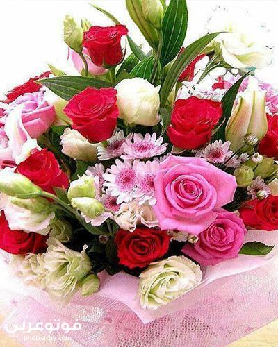 صور ورود وباقات زهور ملونة فوتو عربي